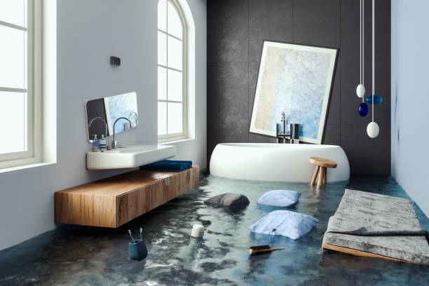 Best Water damage repair service  in Fort Mill, SC
