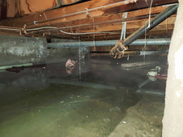 Best Water damage restoration process  in Fort Mill, SC