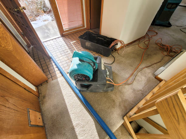 Best Fire Damage Restoration  in Fort Mill, SC